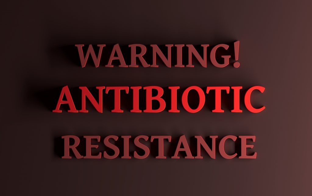 Tilapia a la Vanguardia: resistencia antimicrobiana